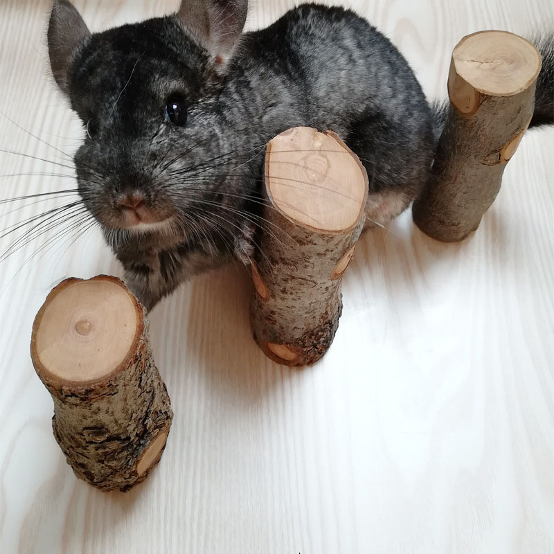 Woodworking Rabbet - Huisdier Hamster Speelgoed Natuurlijke Appelboom Tak