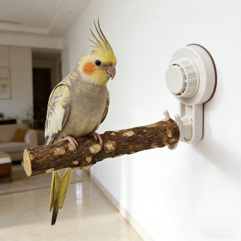 Papegaaienstandaard met zuigna - Woodworking Joint recensie en prijs