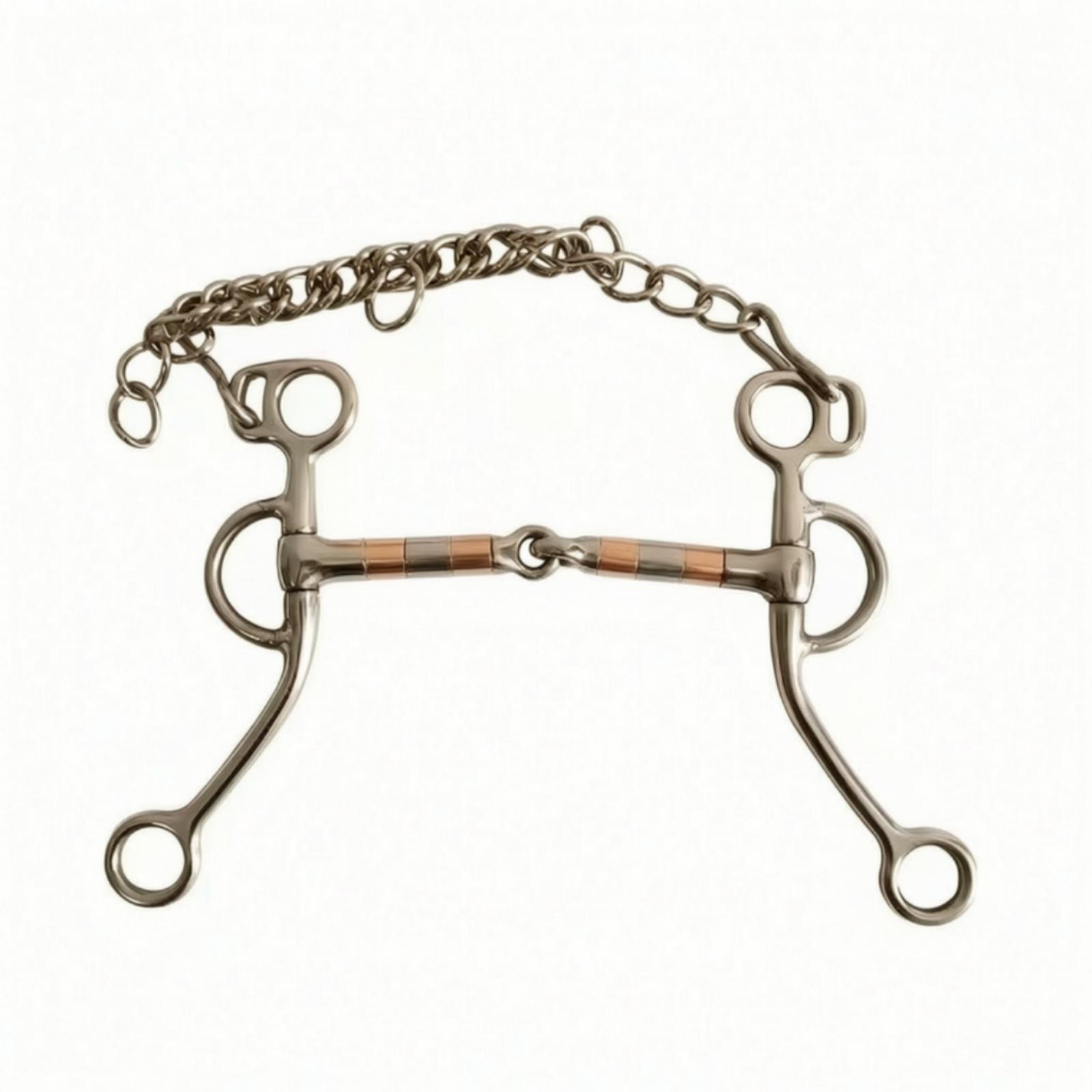 Paardenbit met ketting, roestv - Woodworking Joint recensie en prijs