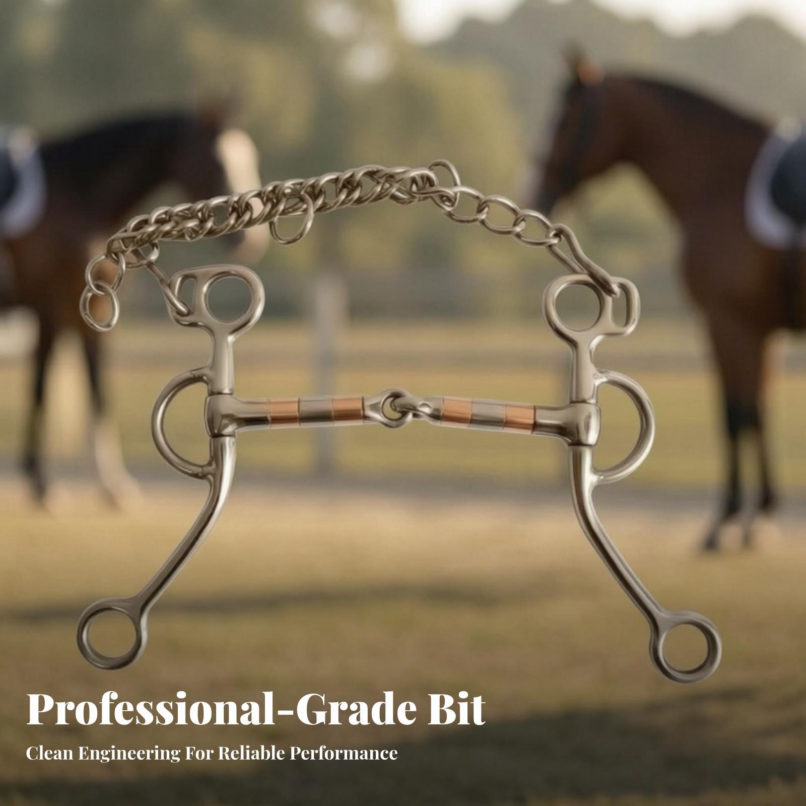 Paardenbit met ketting, roestv - Woodworking Joint recensie en prijs