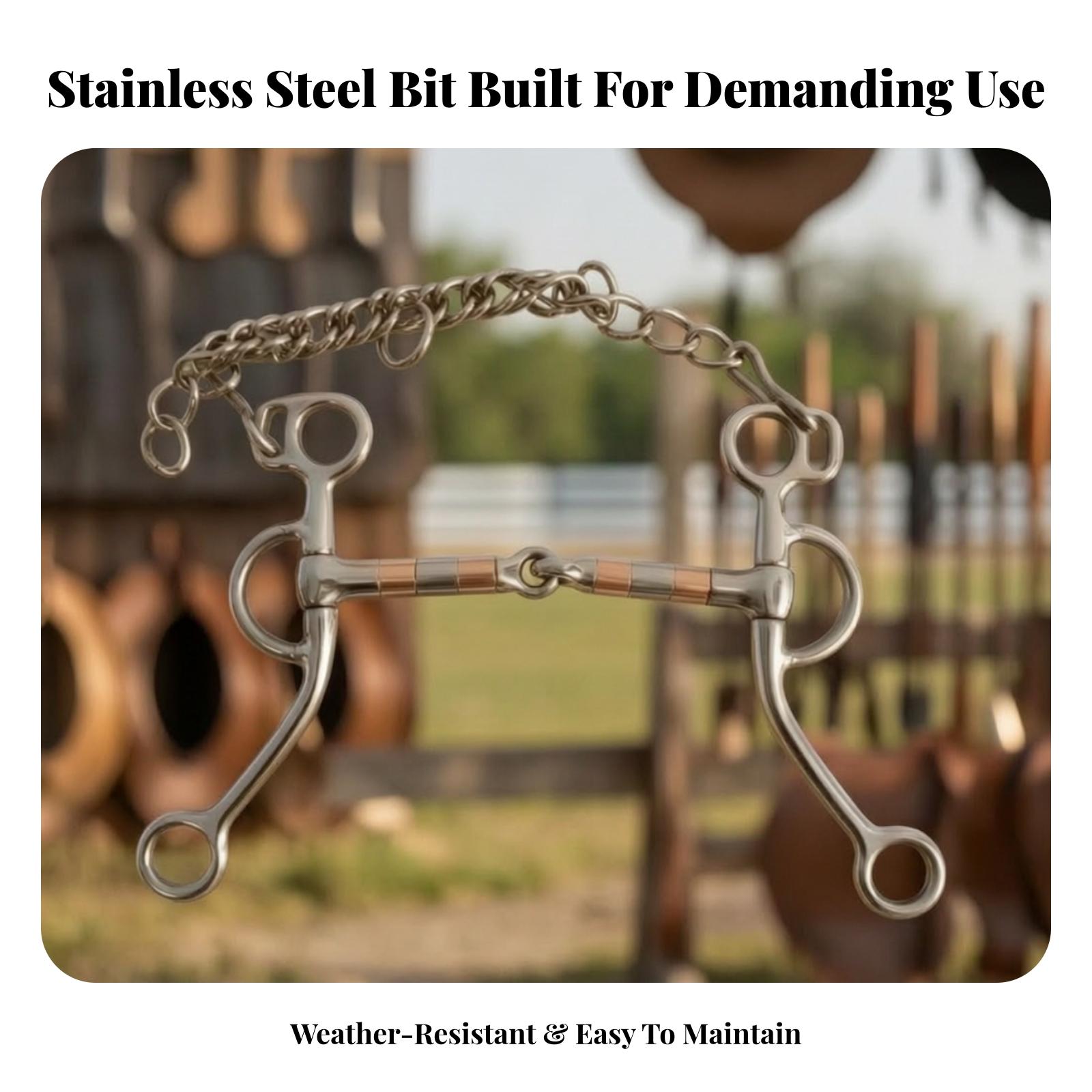 Paardenbit met ketting, roestv - Woodworking Joint recensie en prijs