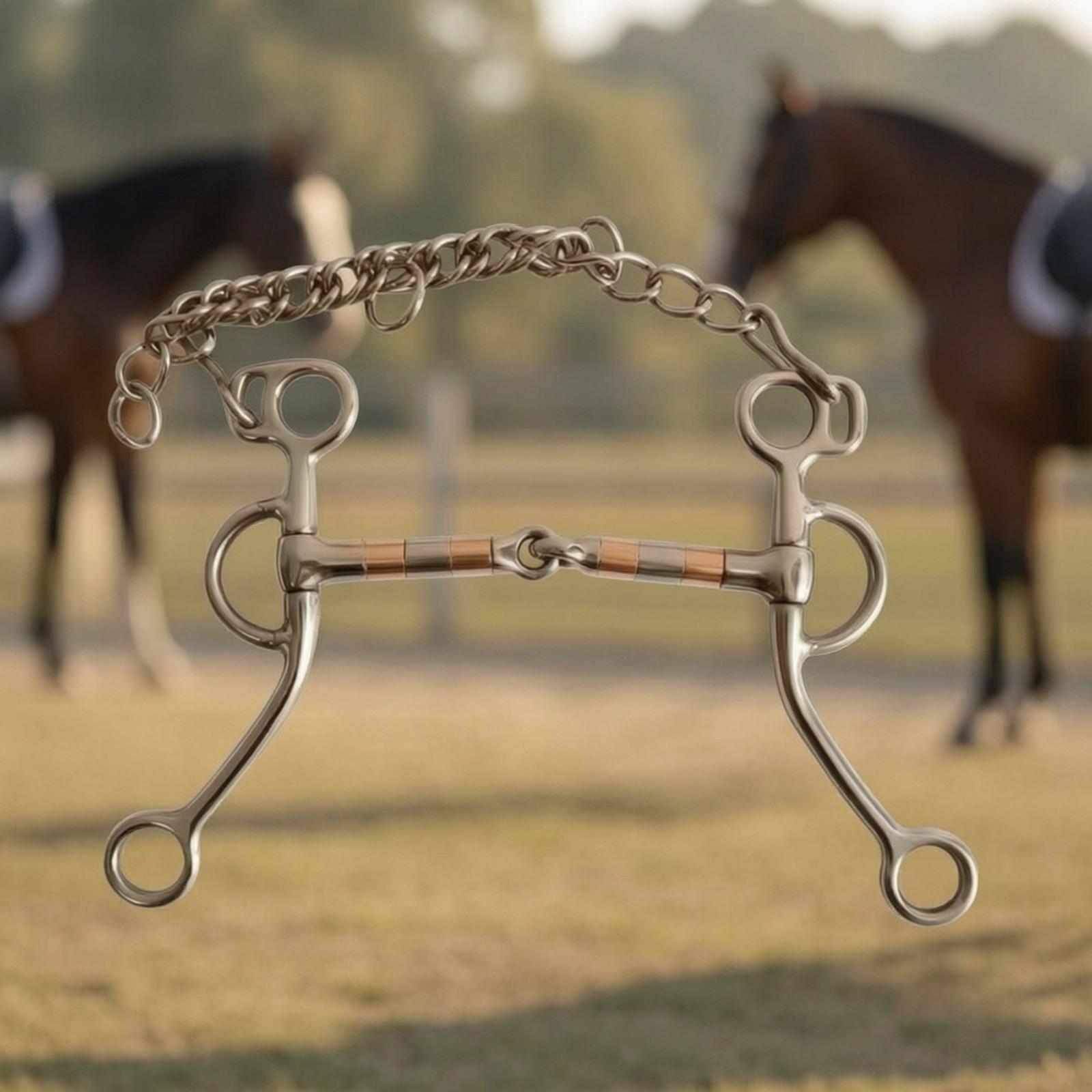 Paardenbit met ketting, roestv - Woodworking Joint recensie en prijs